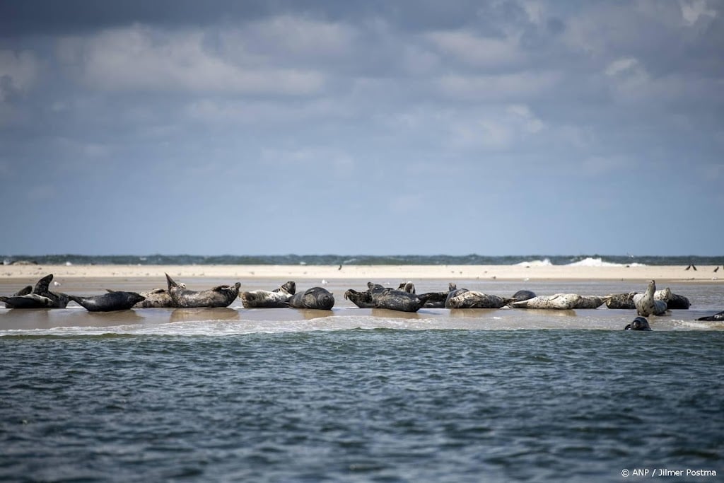 UNESCO wijst opnieuw op risico's voor erfgoedstatus Waddenzee