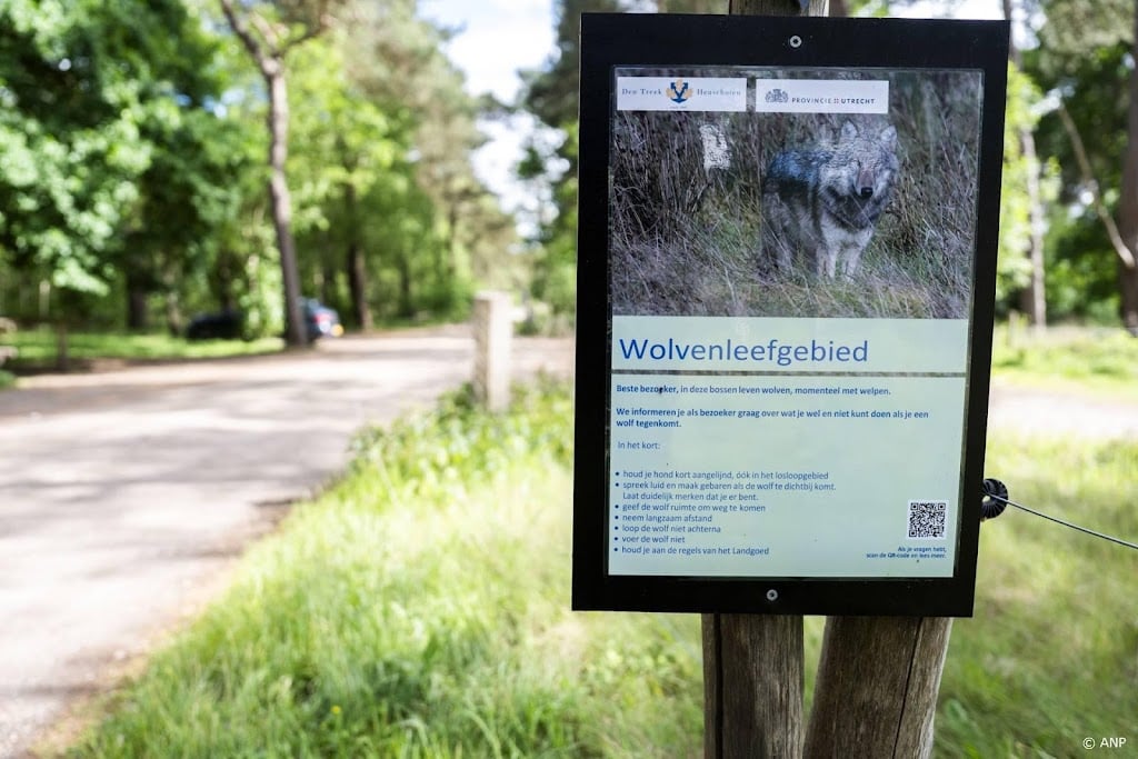 Animal Rights vindt doden Utrechtse wolf 'buitenproportioneel' 