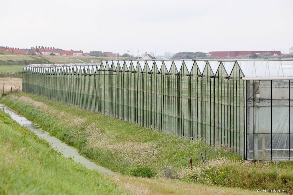 Glastuinbouw snapt stilte van andere sectoren over energie niet