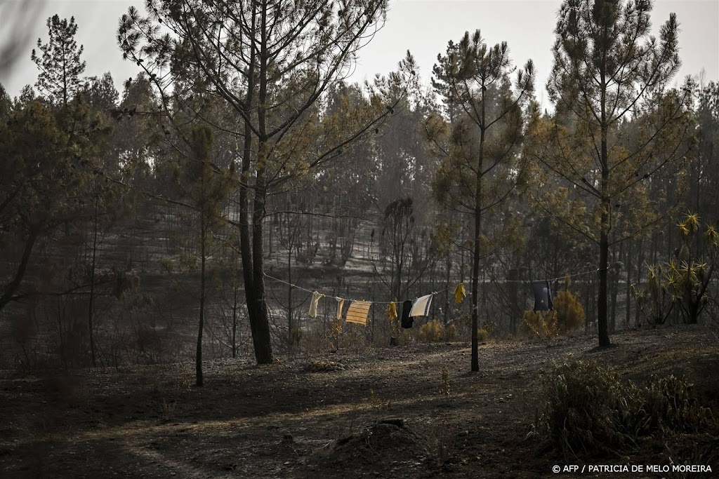 Nauwelijks hulpvragen van Nederlanders in Portugal en Noorwegen