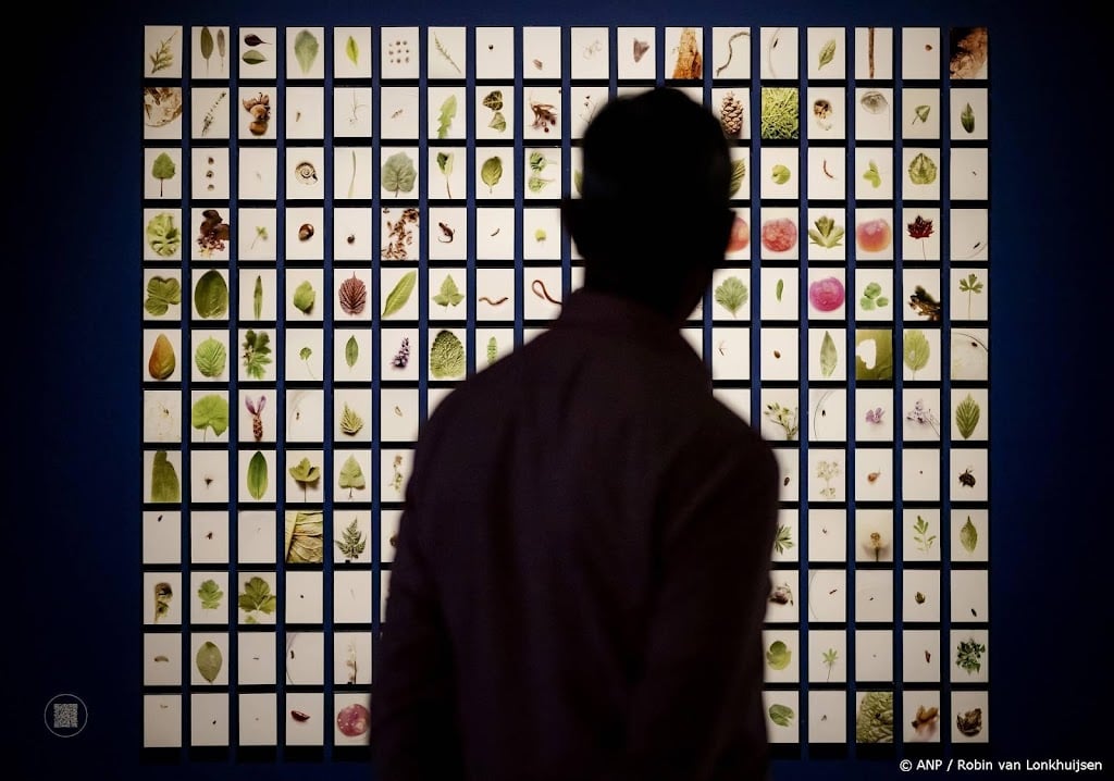 Nederlands Fotomuseum heropent in februari 2026