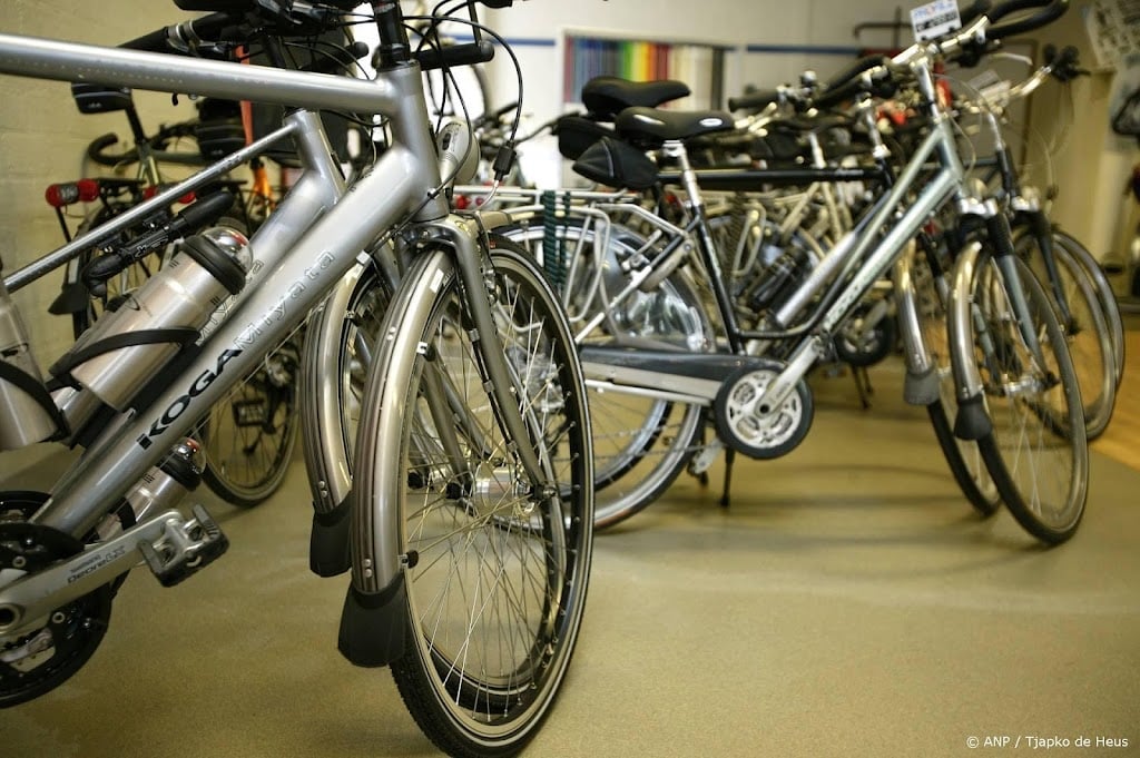 Curatoren verkopen fietsmerken Batavus en Babboe aan Dutech