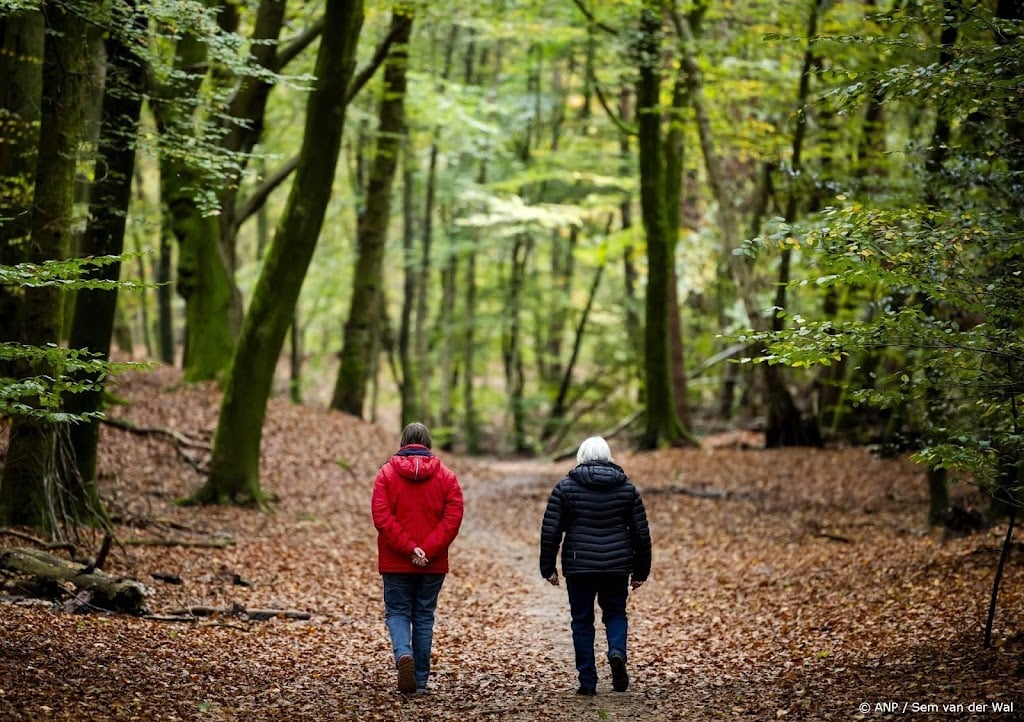 Temperatuur begin van de week ver boven gemiddelde voor november