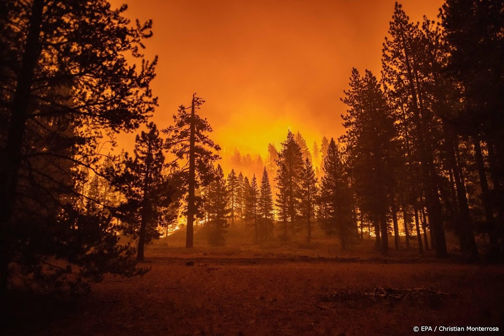 Vader en zoon opgepakt voor veroorzaken bosbrand in Californië