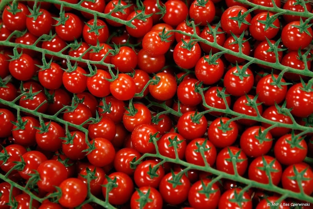 Meer controles op wat voor voedsel de Europese Unie binnenkomt