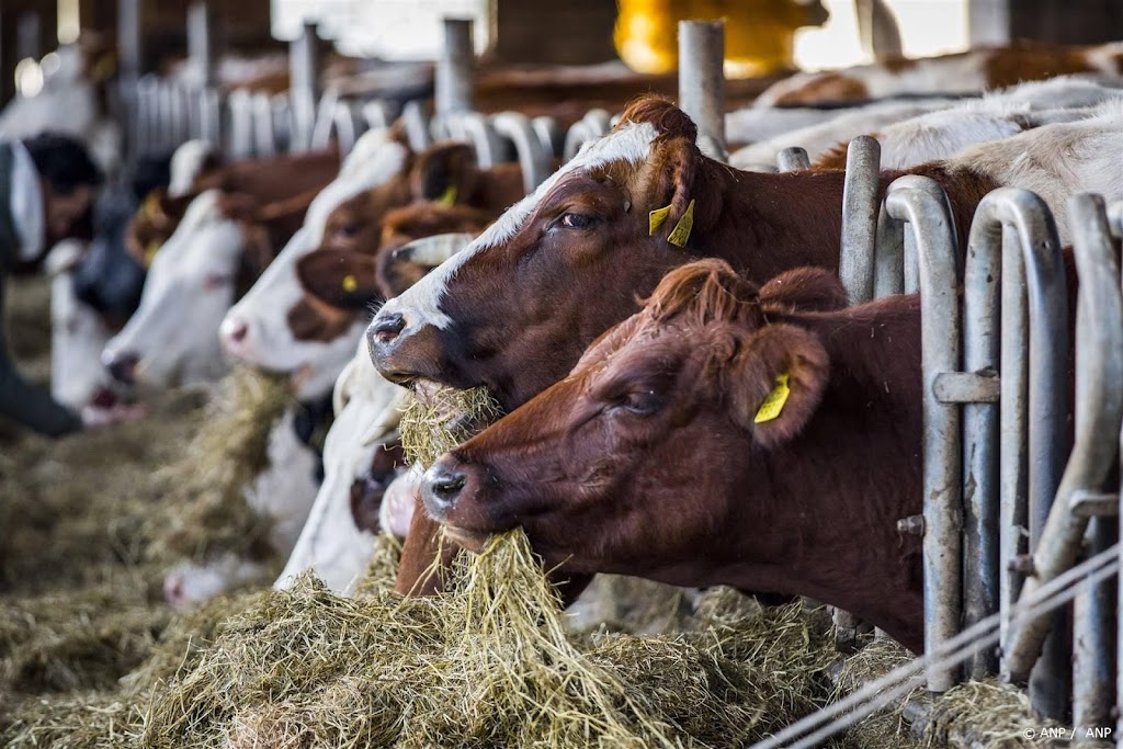 Veehouders moeten stallen laten keuren op brandveiligheid