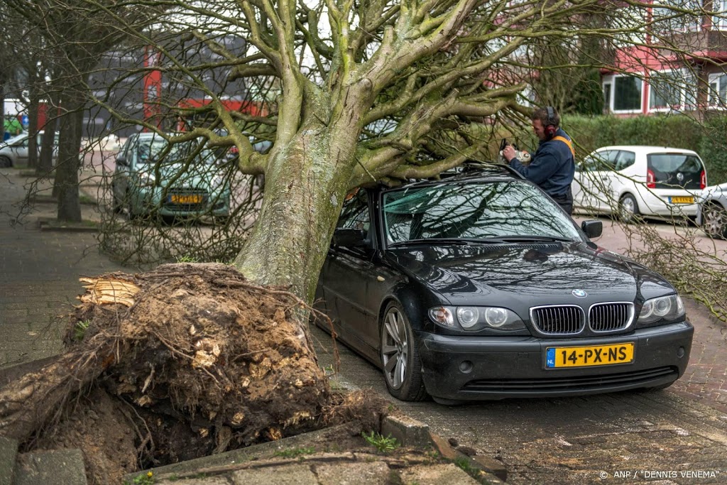 Interpolis: meer dan 2100 schademeldingen na storm Ciara