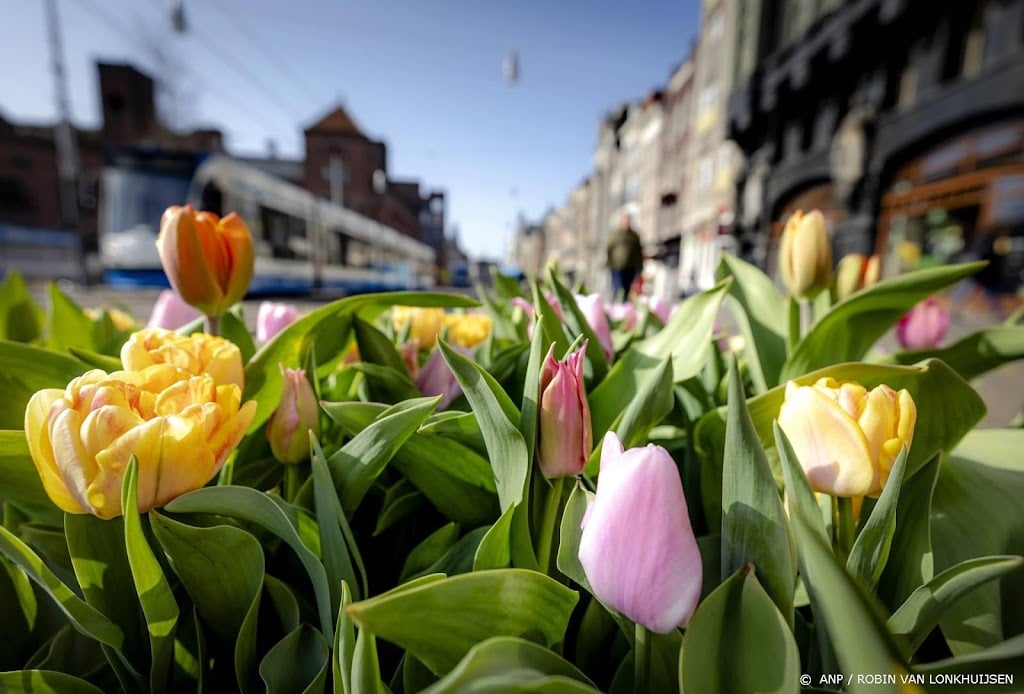 Centralebankgouverneur India: tulpen hebben waarde, crypto's niet