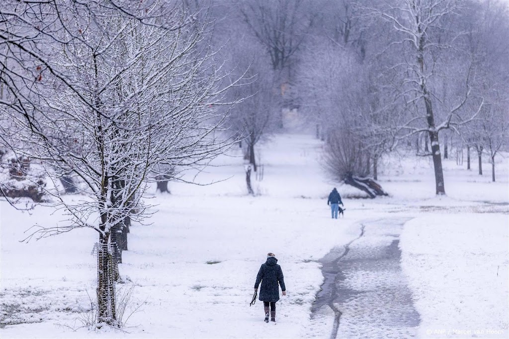 In noordoosten lokaal kans op enkele centimeters sneeuw