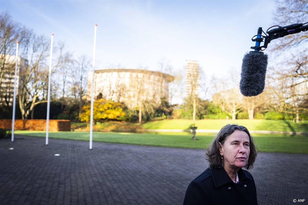 MiGreat: RvS laat zien dat asielwetten nog meer chaos opleveren