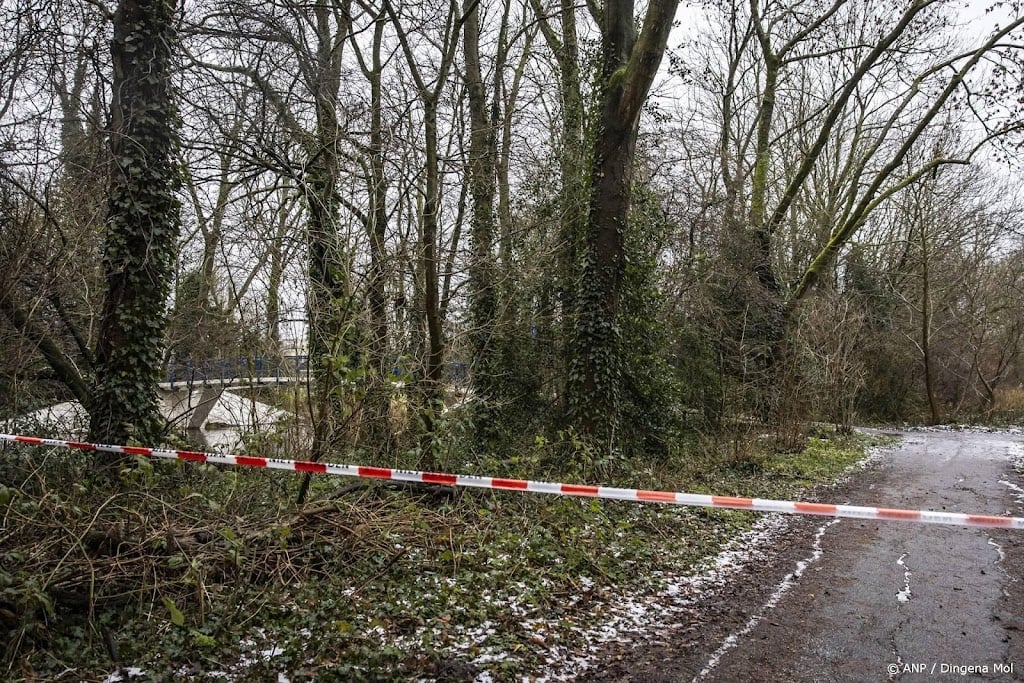 Verdachte (25) doodschieten tieners op nieuwjaarsdag langer vast