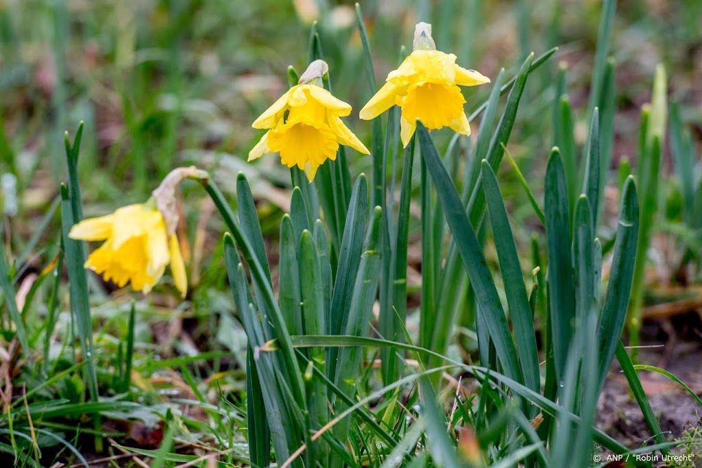 'Lenteweer in aantocht'