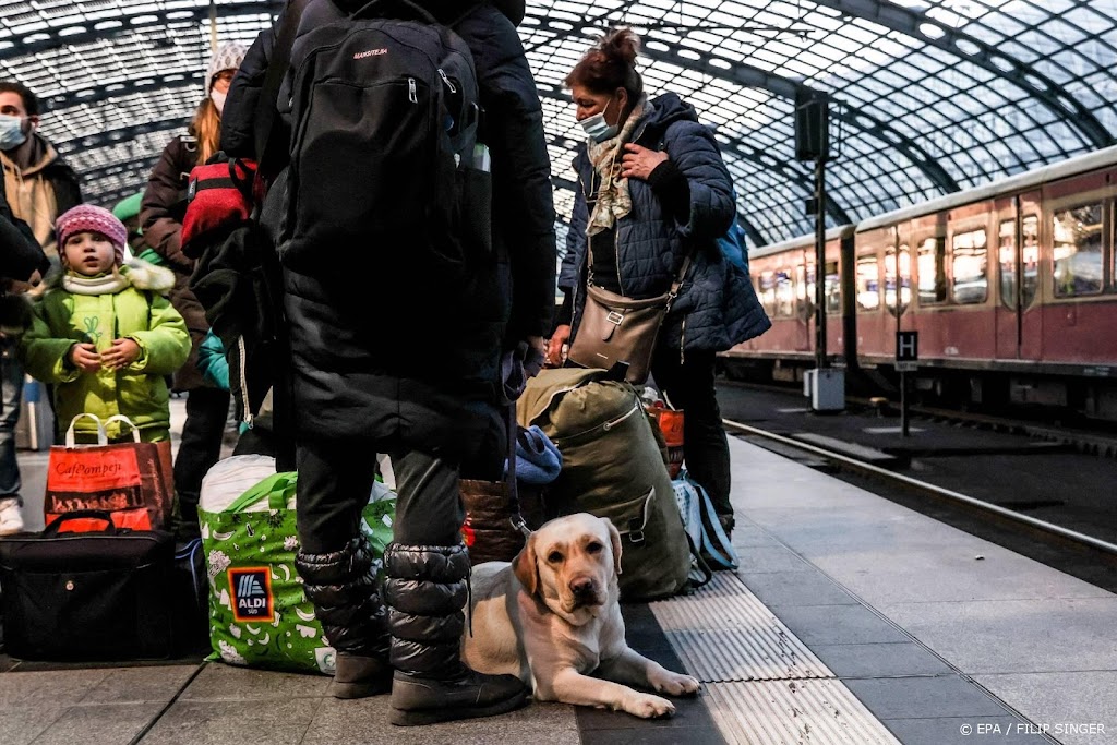 VK vereenvoudigt visumproces voor Oekraïense vluchtelingen