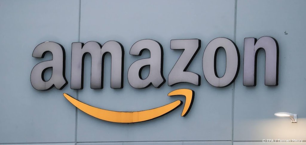 Webwinkelconcern Amazon stijgt op lager Wall Street