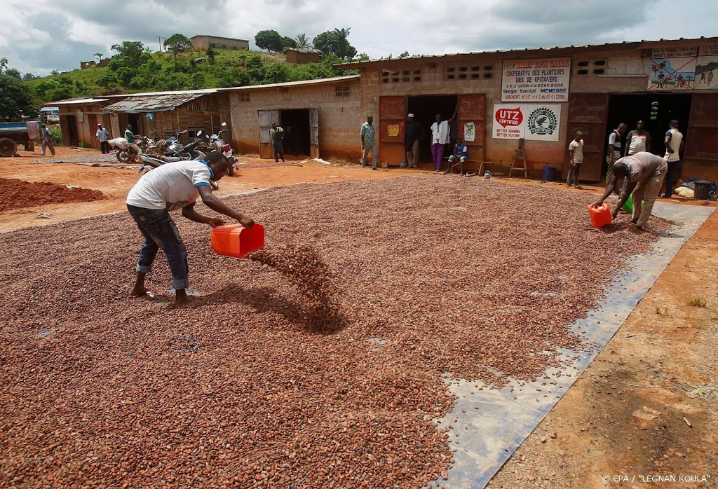 'Meer kinderarbeid cacaoplantages ondanks beloftes producenten'