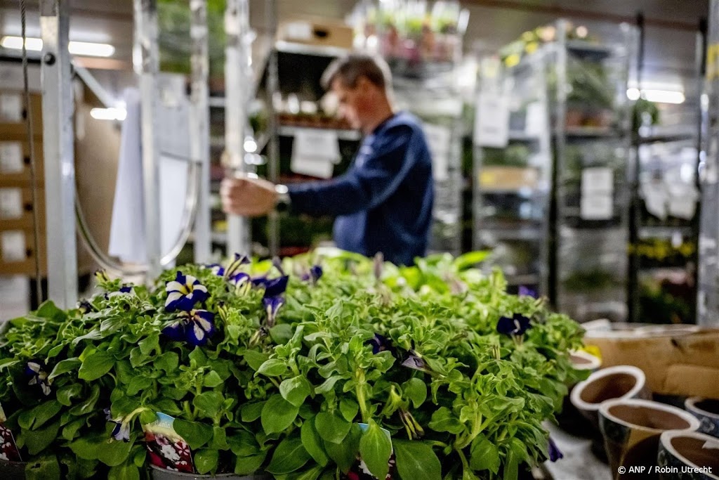 Uitzendbranche sluit cao-akkoord met kleine vakbond