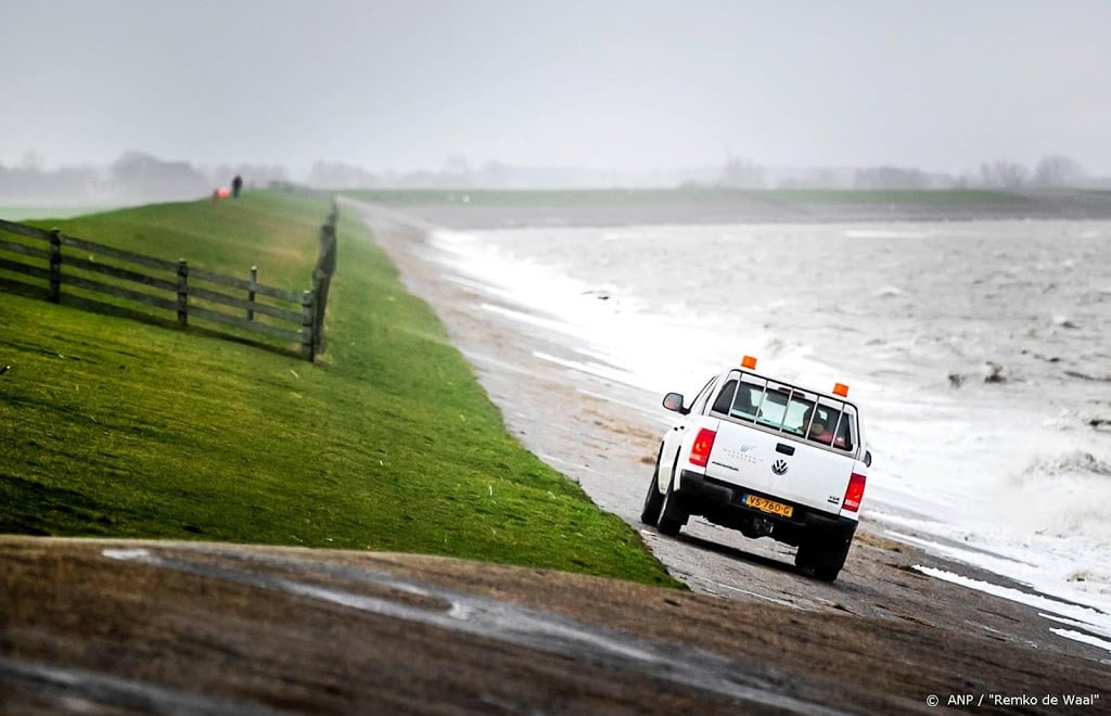 Harde wind en windstoten veroorzaken schade aan bomen