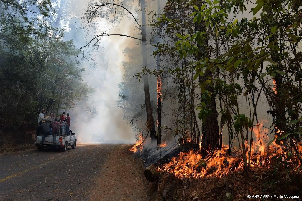 Mexico kampt met 159 natuurbranden tijdens hittegolf