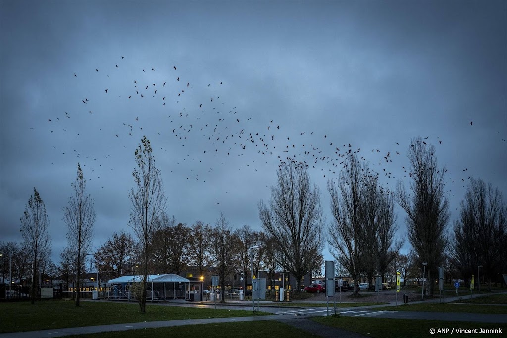 PVV overtuigende winnaar in gemeenten met azc's Ter Apel en Budel