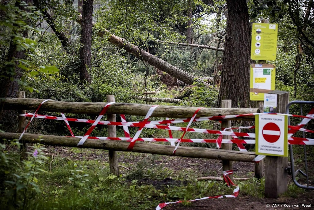 Provincie en gemeente vragen hulp kabinet na valwind in Leersum