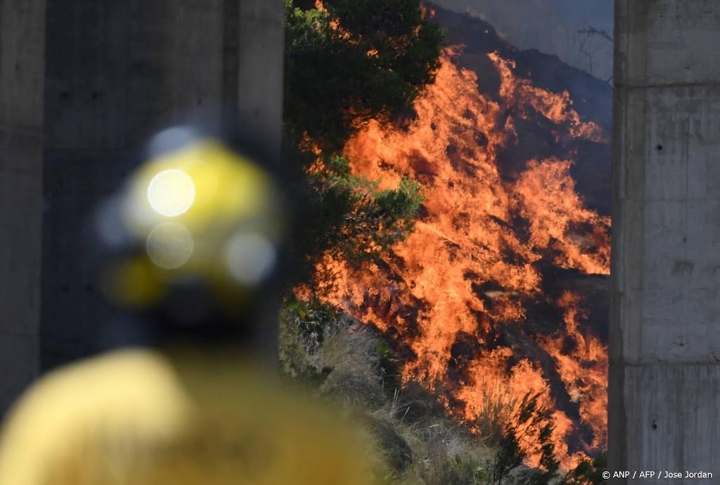 Evacuaties uit voorzorg bij dodelijke bosbrand in regio Almería
