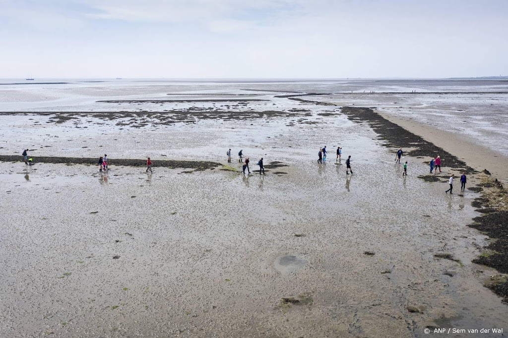 Waddenvereniging: IPCC-rapport schetst nog slechter beeld Wadden