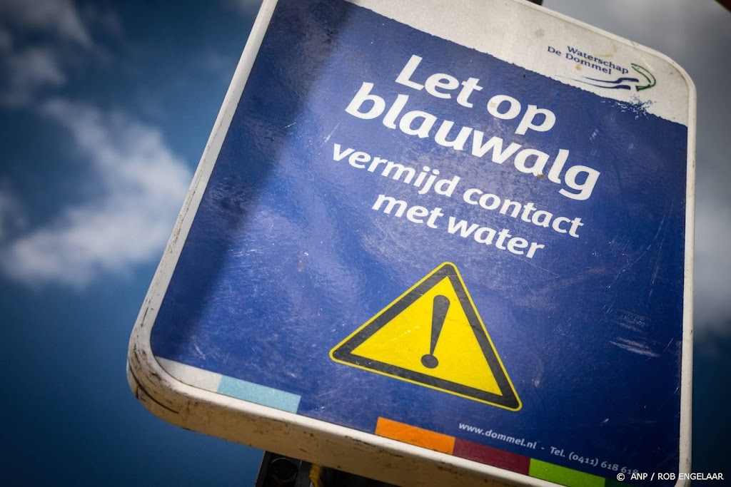 Rijkswaterstaat helpt West-Brabant bij bestrijden blauwalg