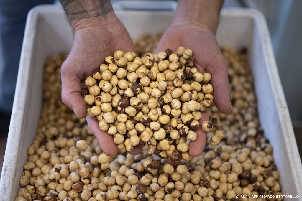 Hazelnootproducten mogelijk duurder door vorstschade in Turkije