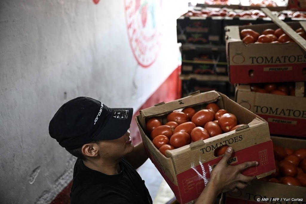 Mexico neemt maatregelen tegen dumping tomaten in VS