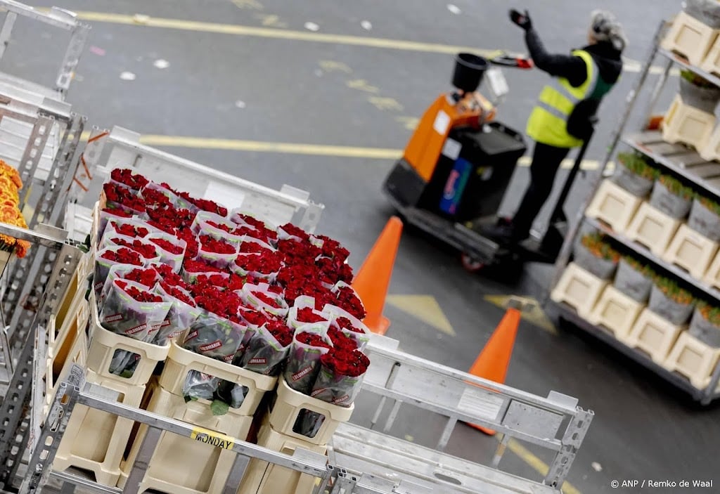 Bloemenveiling Royal FloraHolland sluit locatie in Eelde