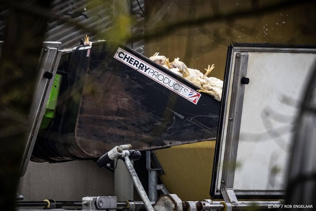 Dierenbescherming rukt vaker uit voor meldingen van vogelgriep