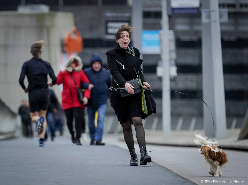 Donderdag drukke spits door wind, advies RWS: werk thuis