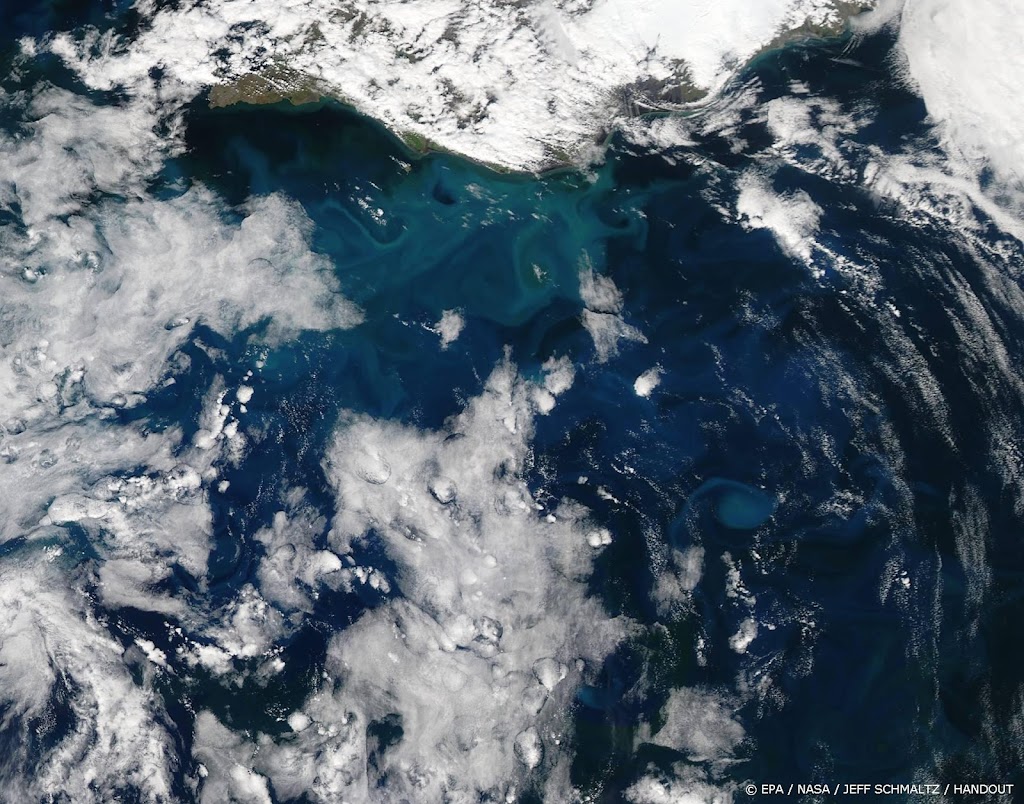 Wereldwijd waren oceanen afgelopen jaar het heetst ooit gemeten 