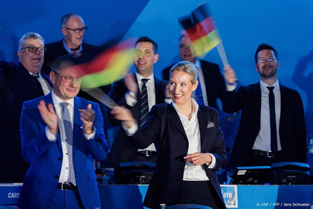 AfD kiest Weidel officieel als leider bij de verkiezingen