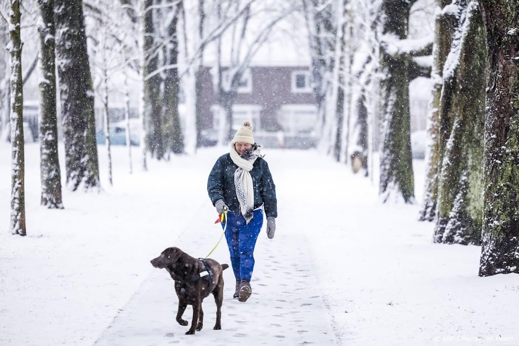 Nog tien gemeenten gestopt met hondenbelasting