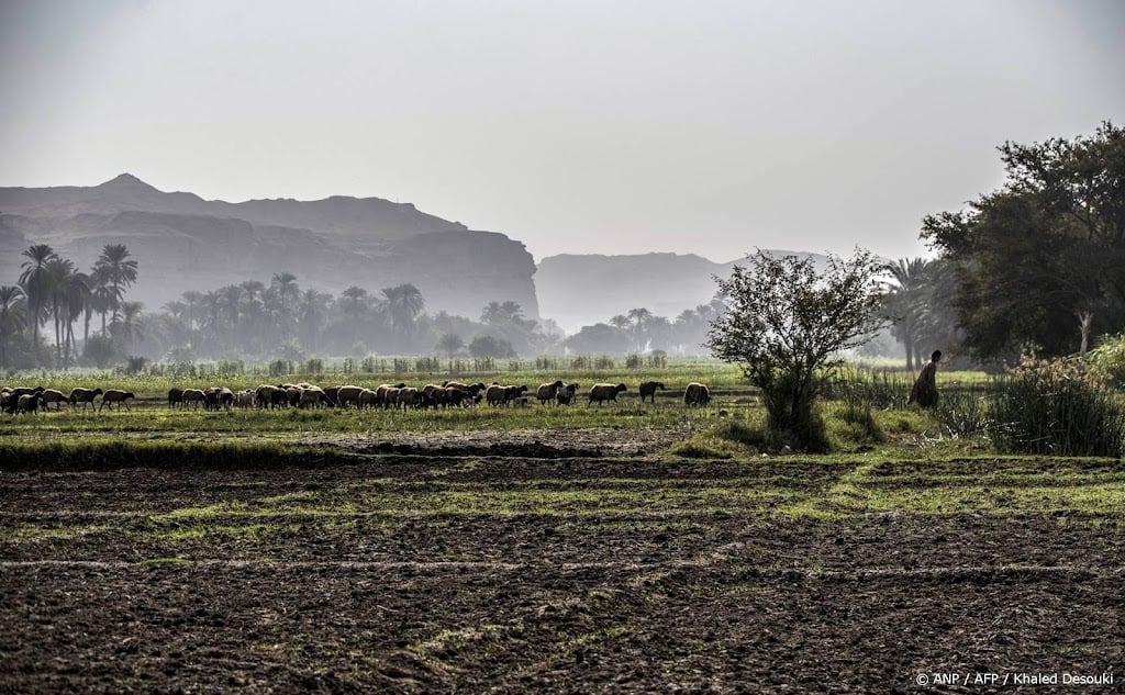 Egypte sluit duurzame energiedeals ter waarde van 1,8 miljard