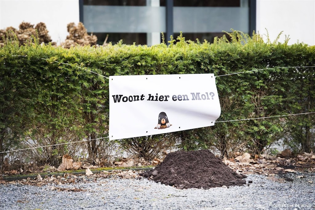 Vijfde landelijke mollentelling begint zaterdag