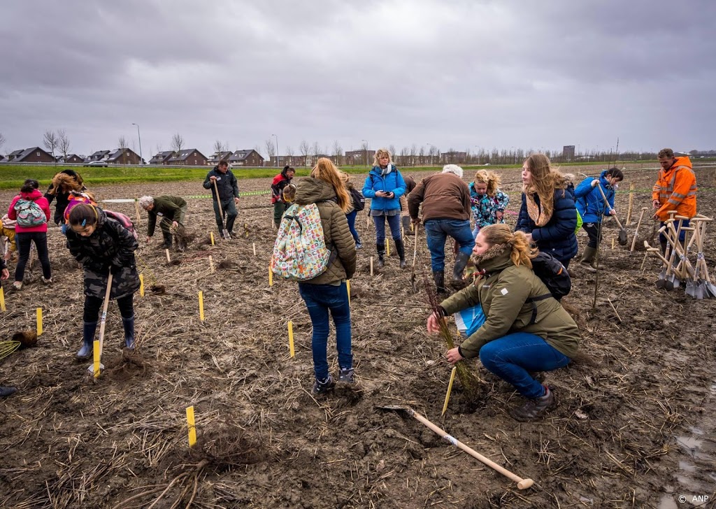 Organisatie EK voetbal plant 12.000 bomen in Haarlemmermeer