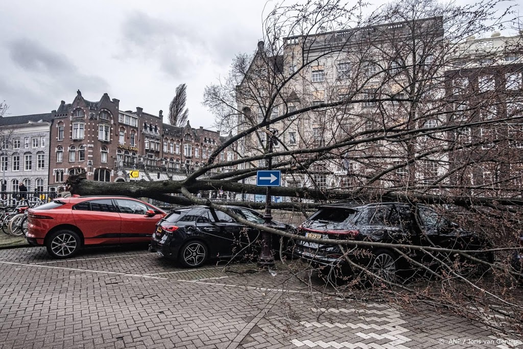 Verzekeraars: aantal meldingen stormschade lijkt mee te vallen