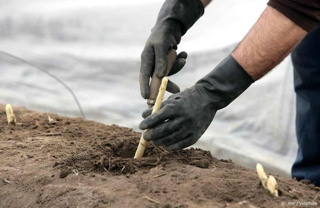 85.000 euro boete voor onderbetalen arbeidsmigranten