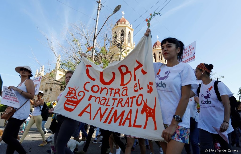 Cuba heeft zijn eerste dierenwelzijnswet
