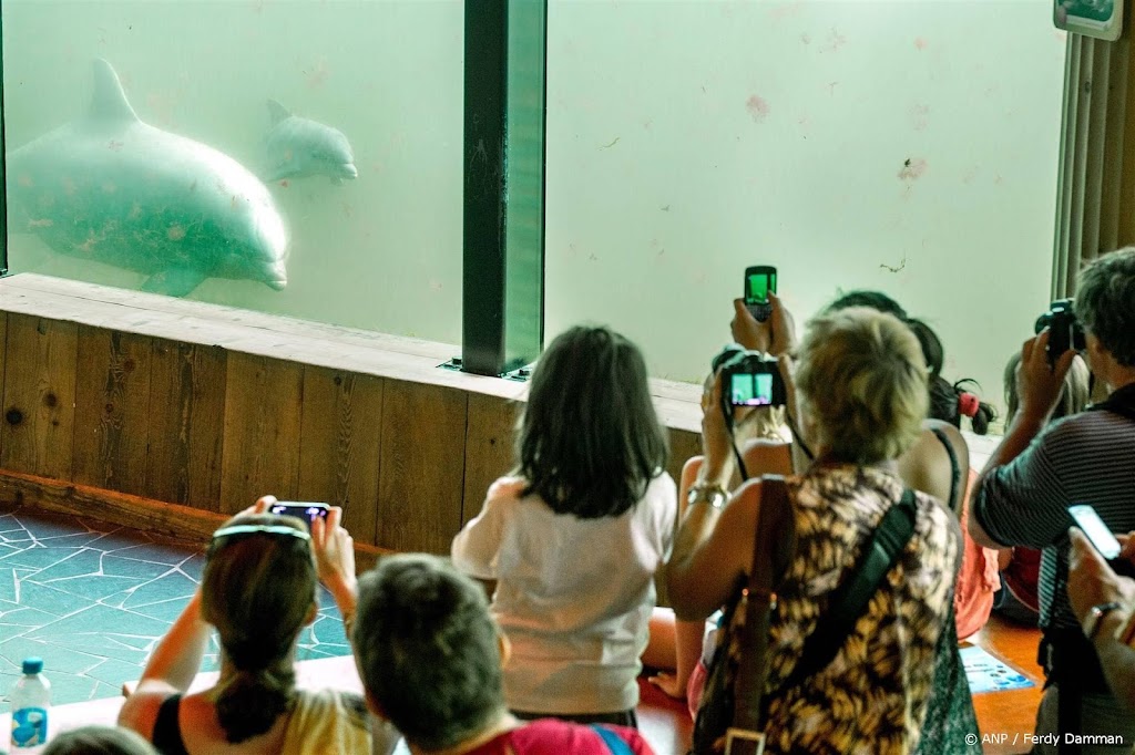 Dolfinarium past dierenshows aan na opdracht van RVO