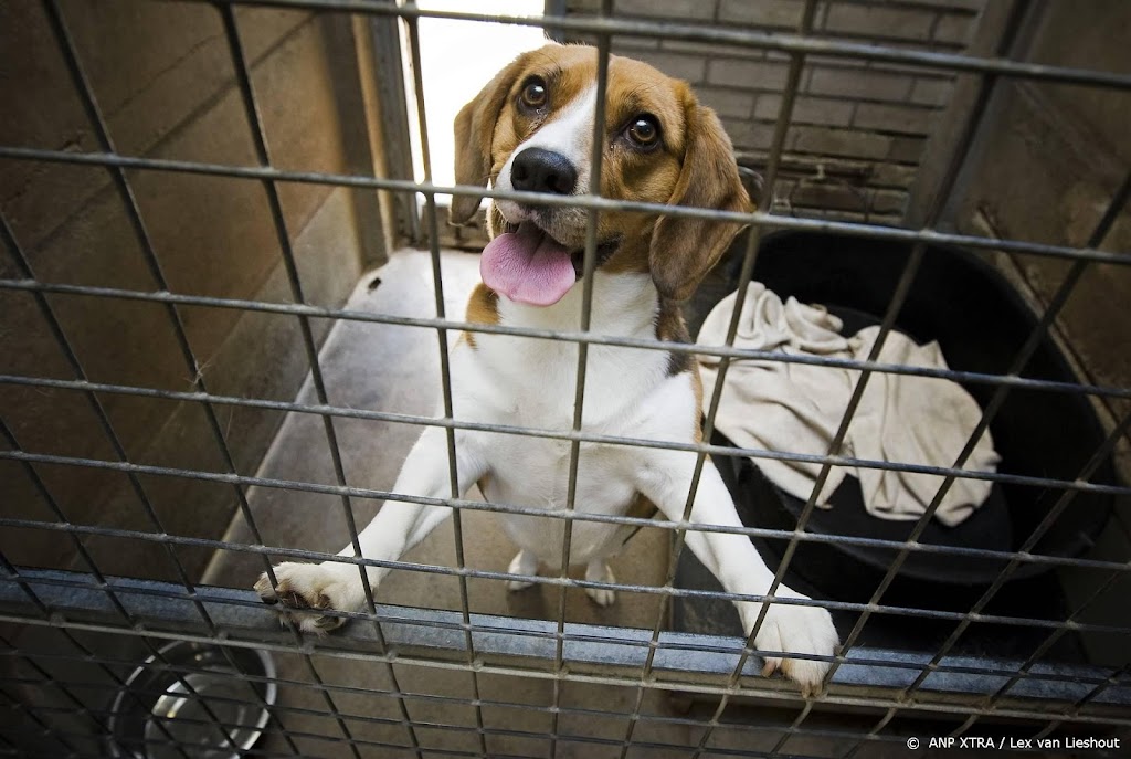Oproep Dierenbescherming voor steun wet aanpak dierenmishandeling