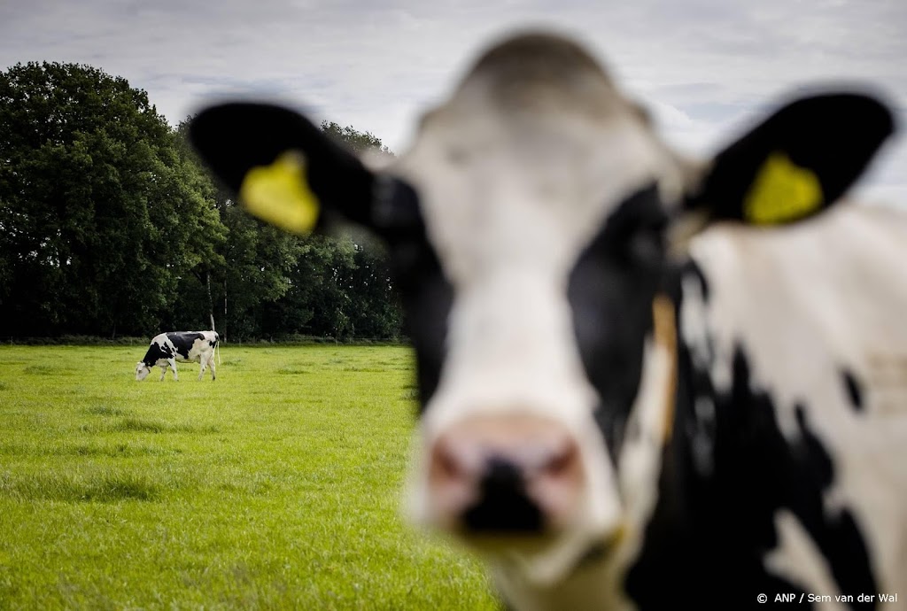 Limburgse en Brabantse CDA-fracties in De Peel tegen stikstofplan