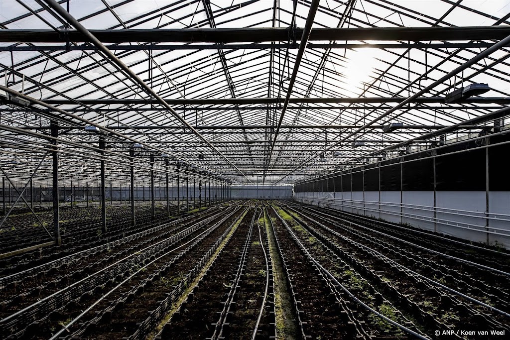 Adema: glastuinbouw past in Nederland ondanks energieverbruik