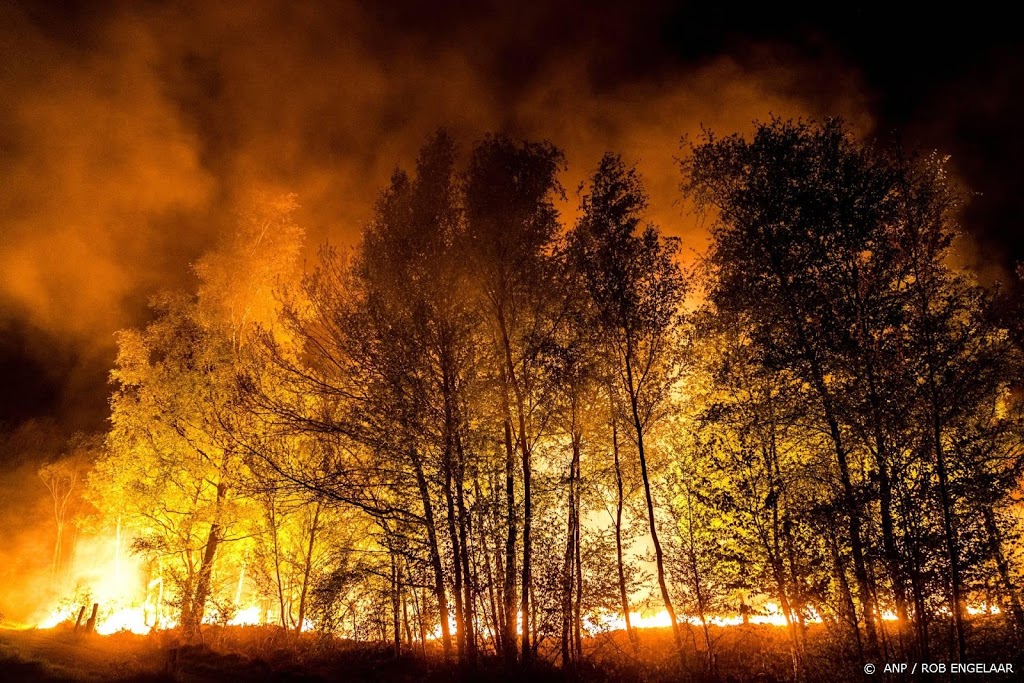Tientallen Griekse bosbranden onder controle gebracht