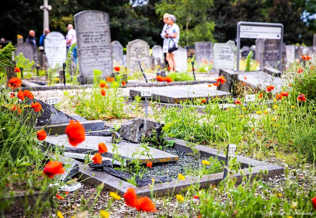 Ruim 7000 euro opgehaald voor vernielde graven 's-Gravenzande