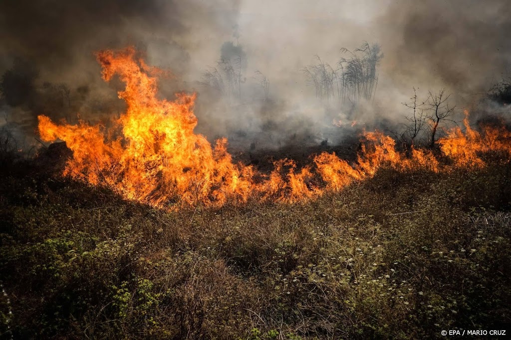 Hitte wakkert al tientallen bosbranden aan in Portugal