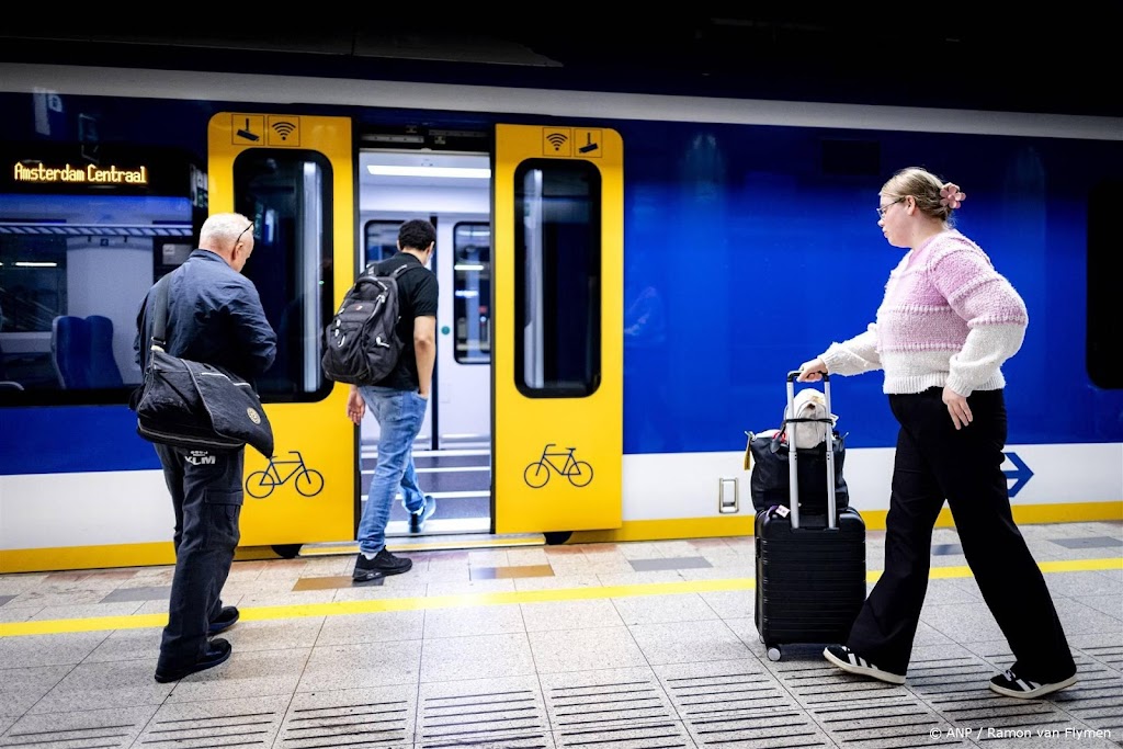 NS start dienstregeling op na ov-staking, lang niet alles rijdt