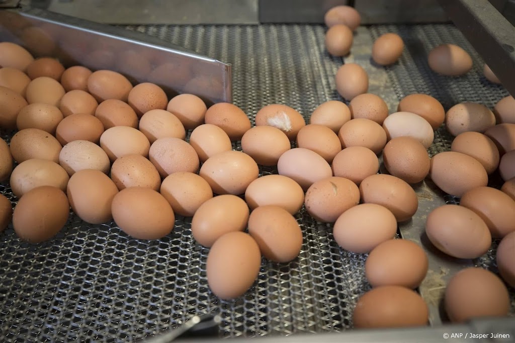 RCC: supermarkten misleidden consumenten over vrije-uitloopeieren